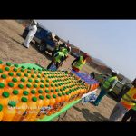 Mass feeding November 2020 (1)