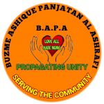 Sabir logo copy